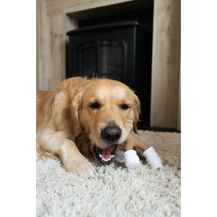 V3H1168FC2E47A1381B38DB7698EC2A5A9AR5778904P3