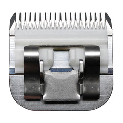 V3H985E39FD4A925E3F70EFCE20C04FC399R5554761P4