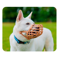 V4H81D032E942BBD17B9E9B79C0A7EC18BDR5327556P3