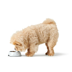 V3H68DE278E11D5F6DEA536399E08B32857R5574386P2