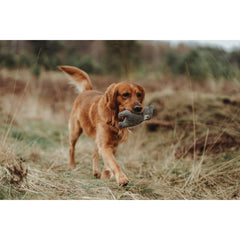 V5H1A897E172D58E67763440914589042ACR5333687P2