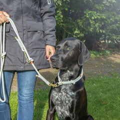 V5H3434D23F362E0731F80FC16598BC1804R5330778P2