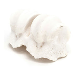 V9HED0B4C38EE8532FA23B93A47B1DCA0BER3891368P2