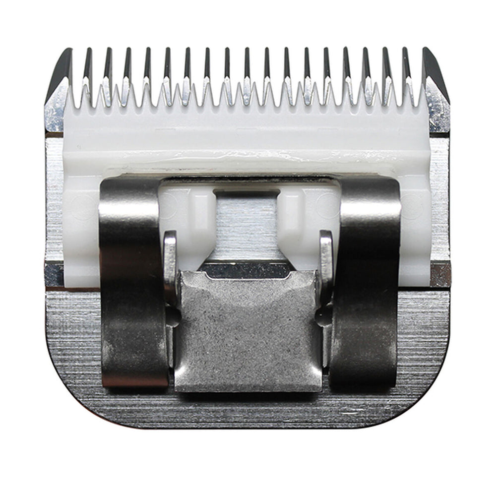 V3H4D7B9585DA488842E331481F72E3F631R5554754P4