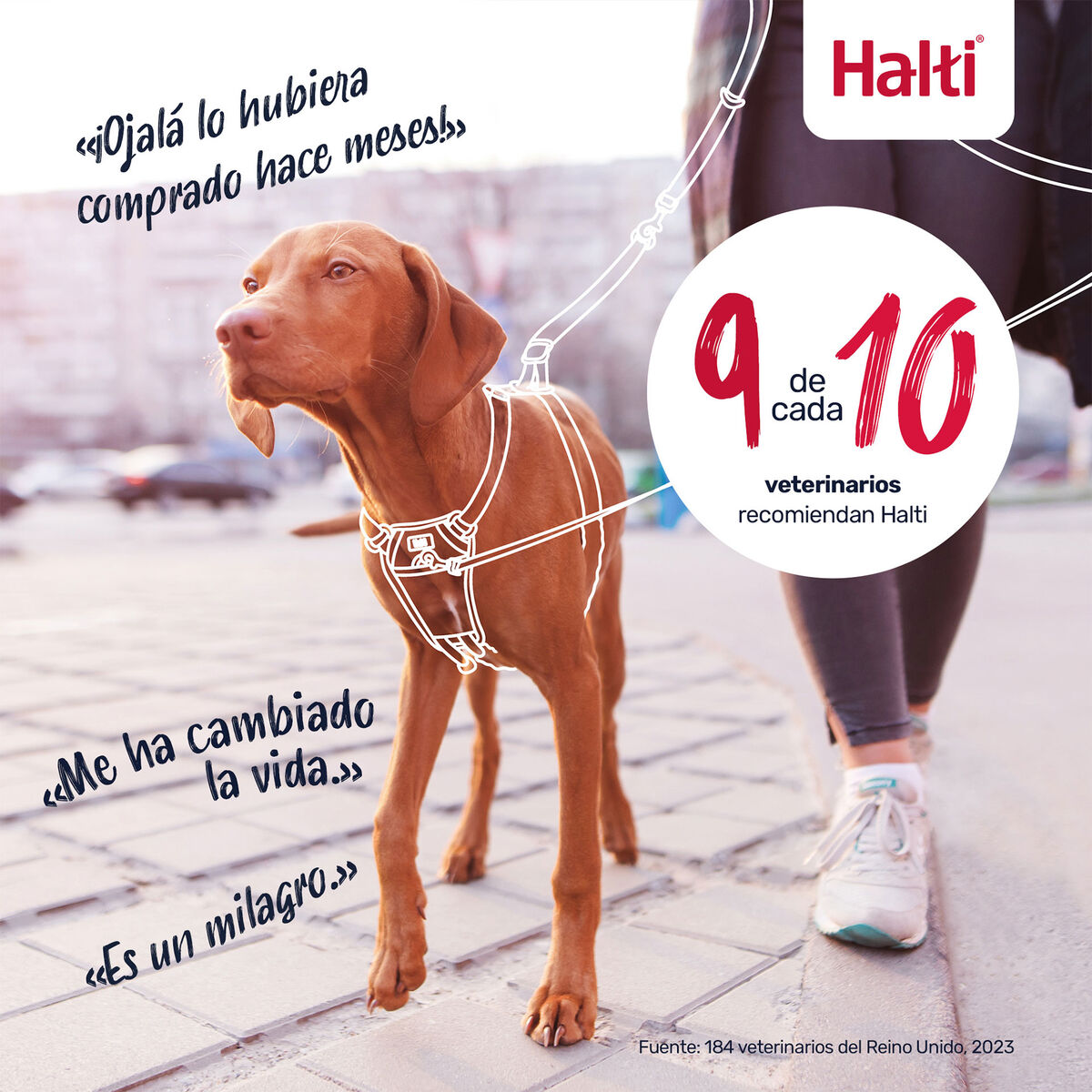 V2H27E1C848B943FCAB4E179A29C83416B4R7523811P10