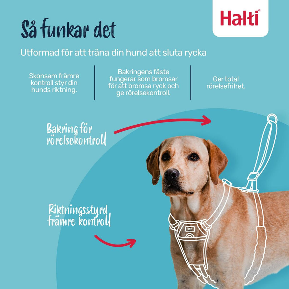 V2H9C1D3BADB71BA0C43AAFFB3056FB24A2R7523723P8