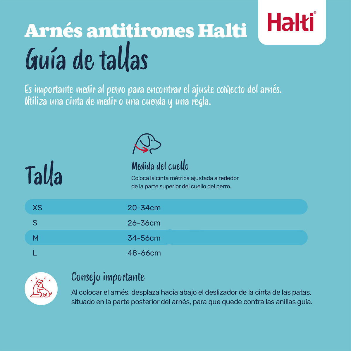 V2HF29CE7C65355E38E1A0BD4E3E18CB1B0R7523717P5