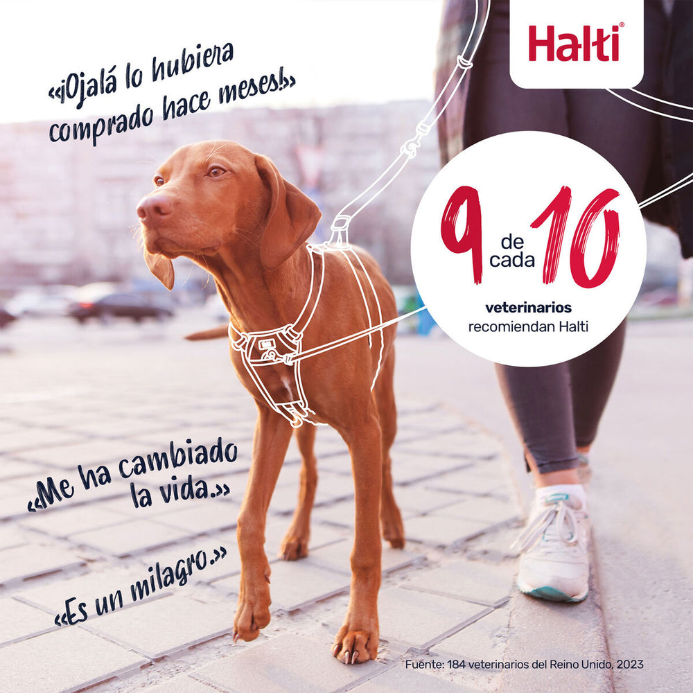 V2HFC726089C124F4653BF4BF00E2544AFFR7523714P5