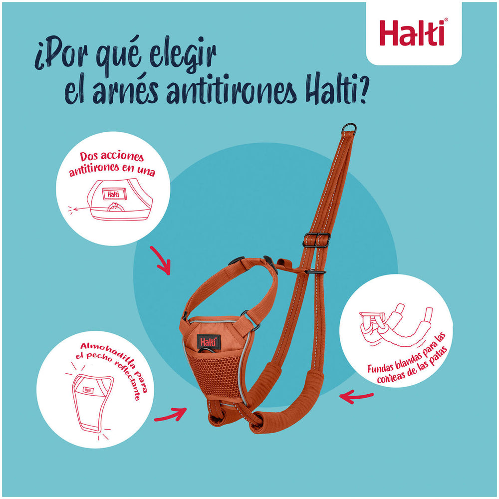 V2H10946E657CF865886824D2FE4A53D401R7523718P7