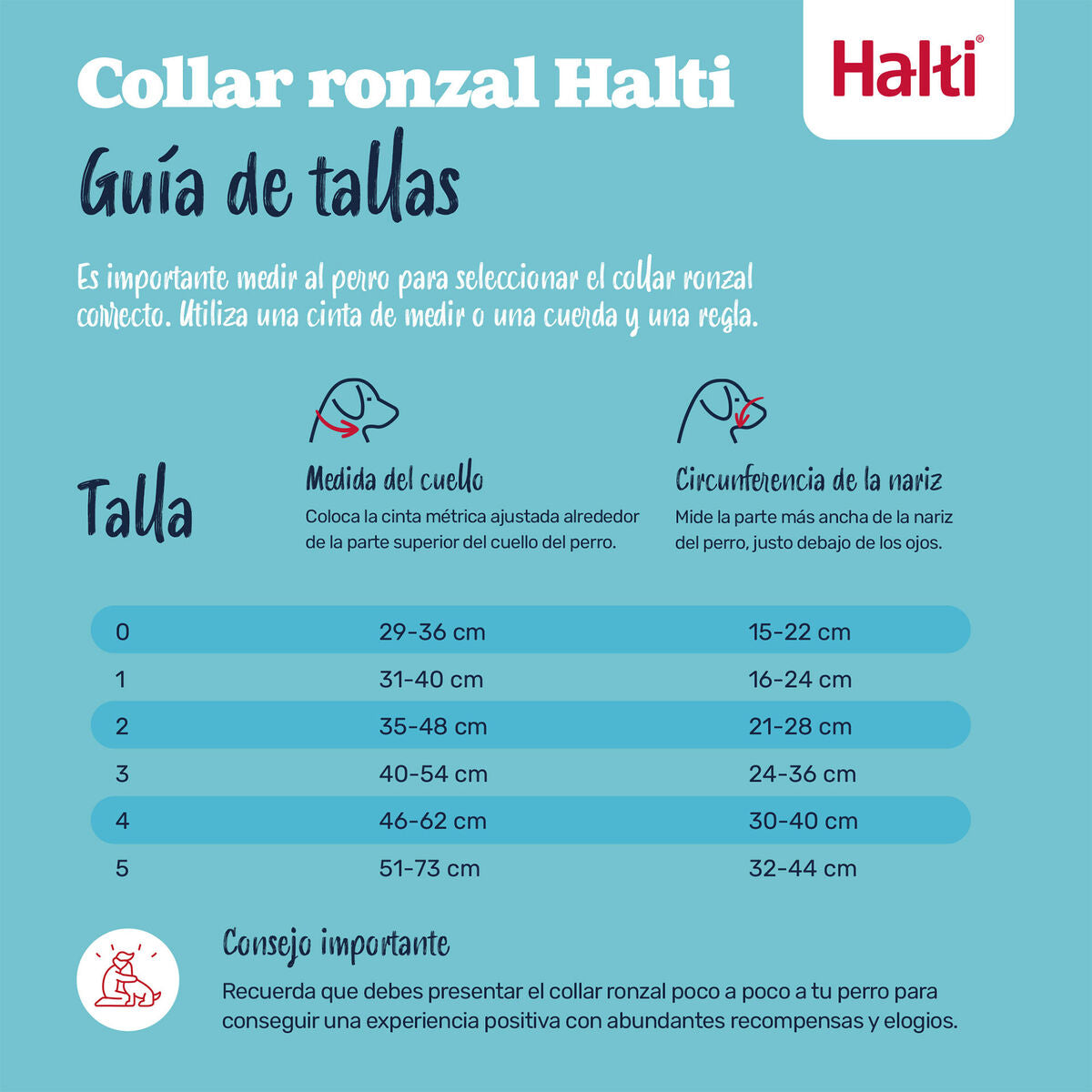 V2H5D461AE33C7E33BB95B0D787FA46EF05R7523946P2