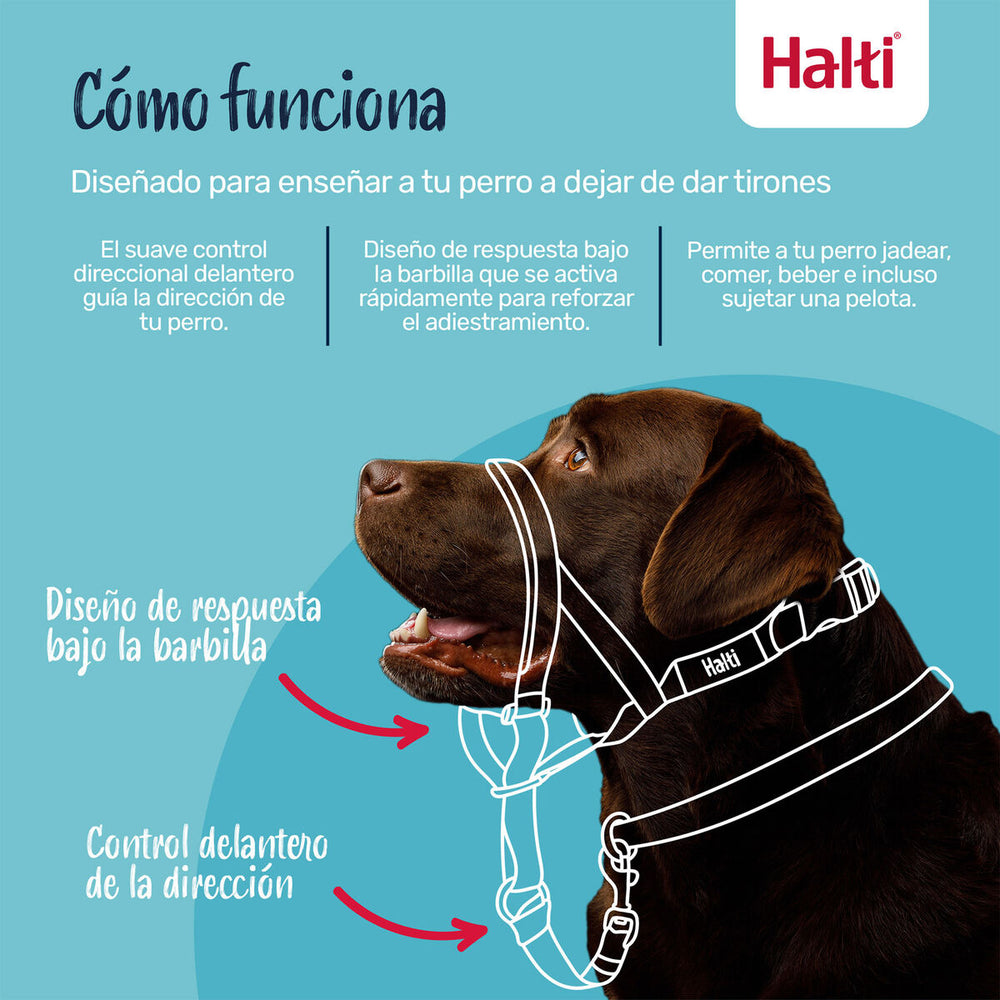 V2HD85B422D84FD680F4B958EFFD518705BR7523935P4