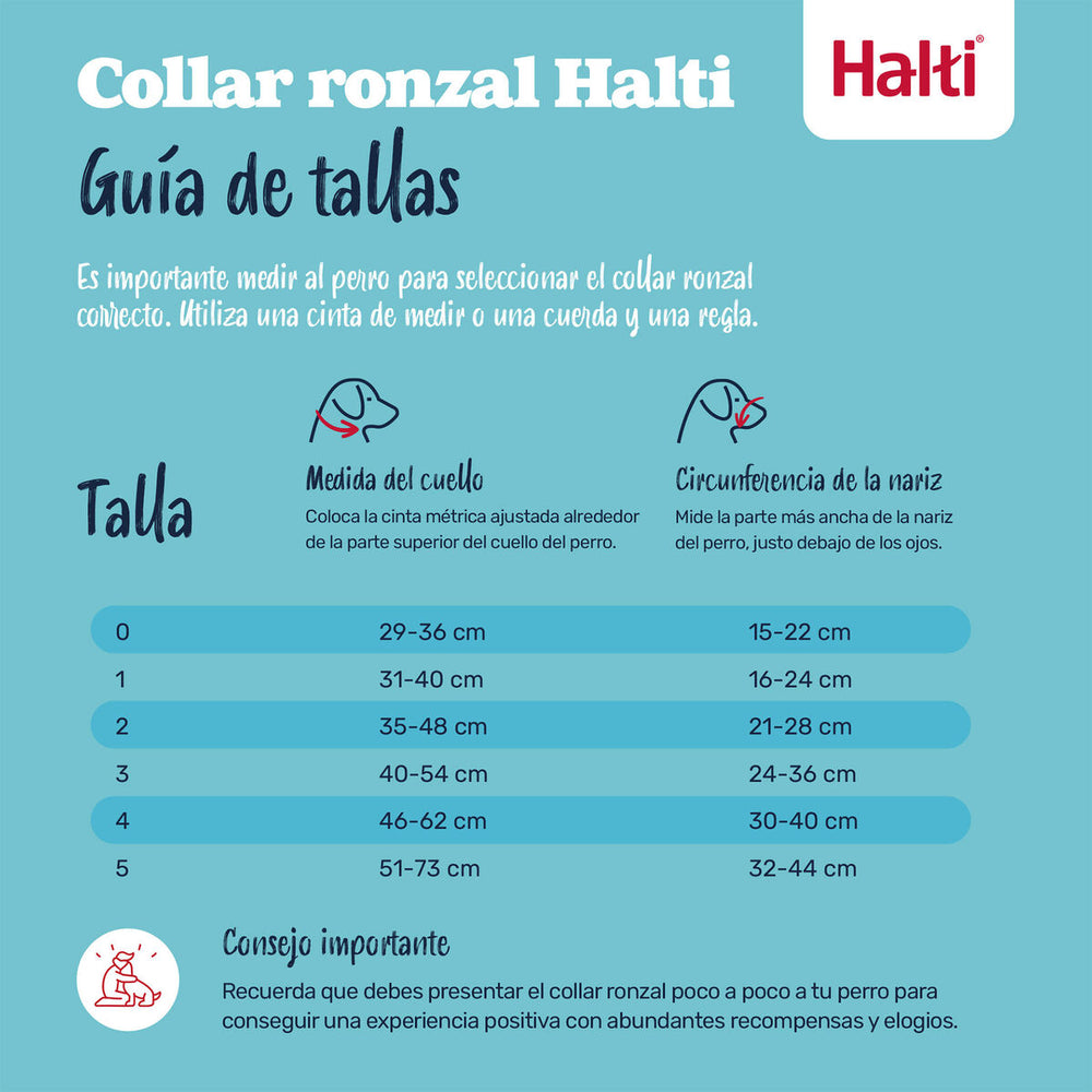 V2H2087E832B24664682EDDEA587A1A44B8R7523917P2