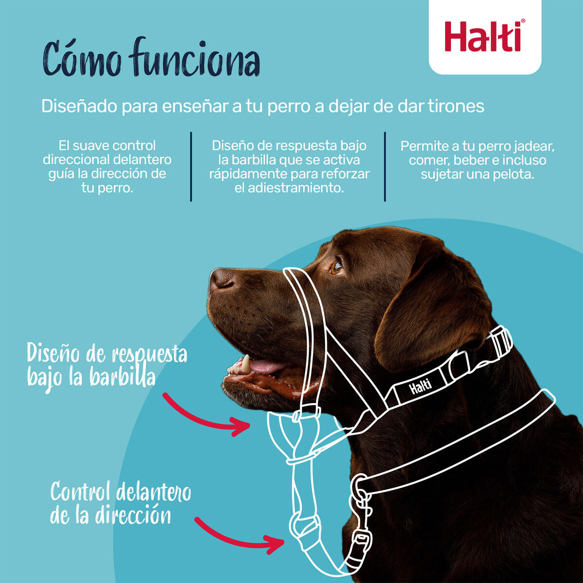 V2H9F834818324C1B3879BC54B81985D1D8R7523896P8