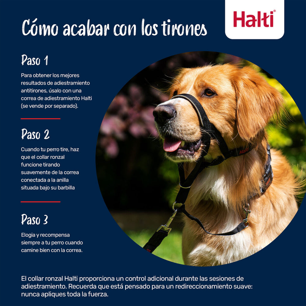 V2H39E5AA3969461A7EFAE154091D8D7B61R7523881P8