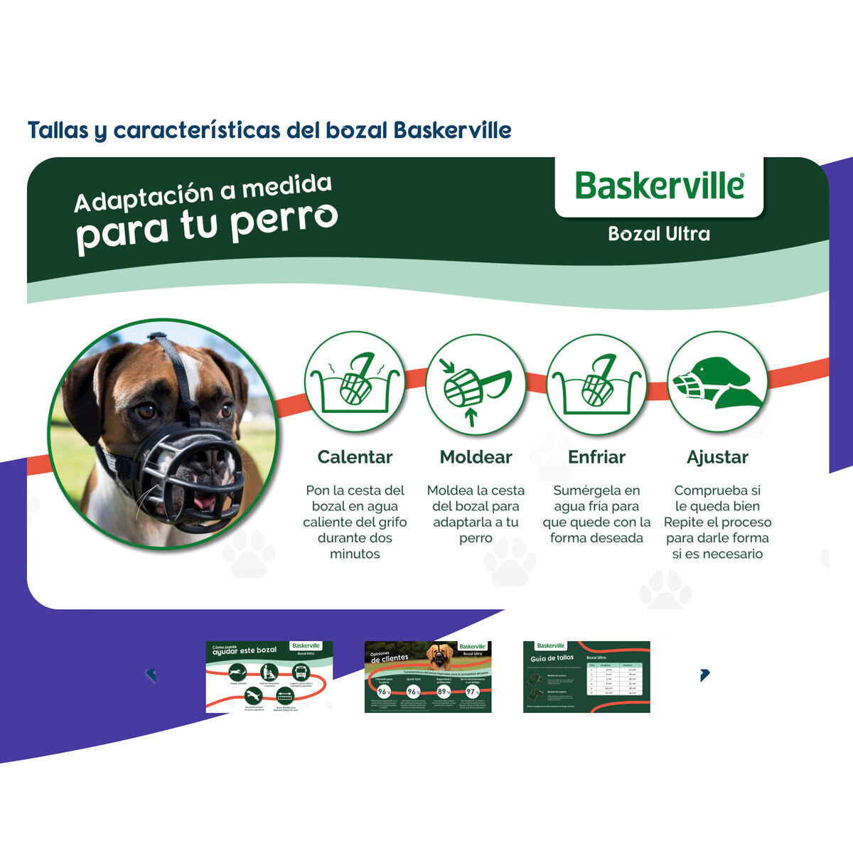 V4HAD295031A1120BBD4100ECDA188AC8D9R5327517P4