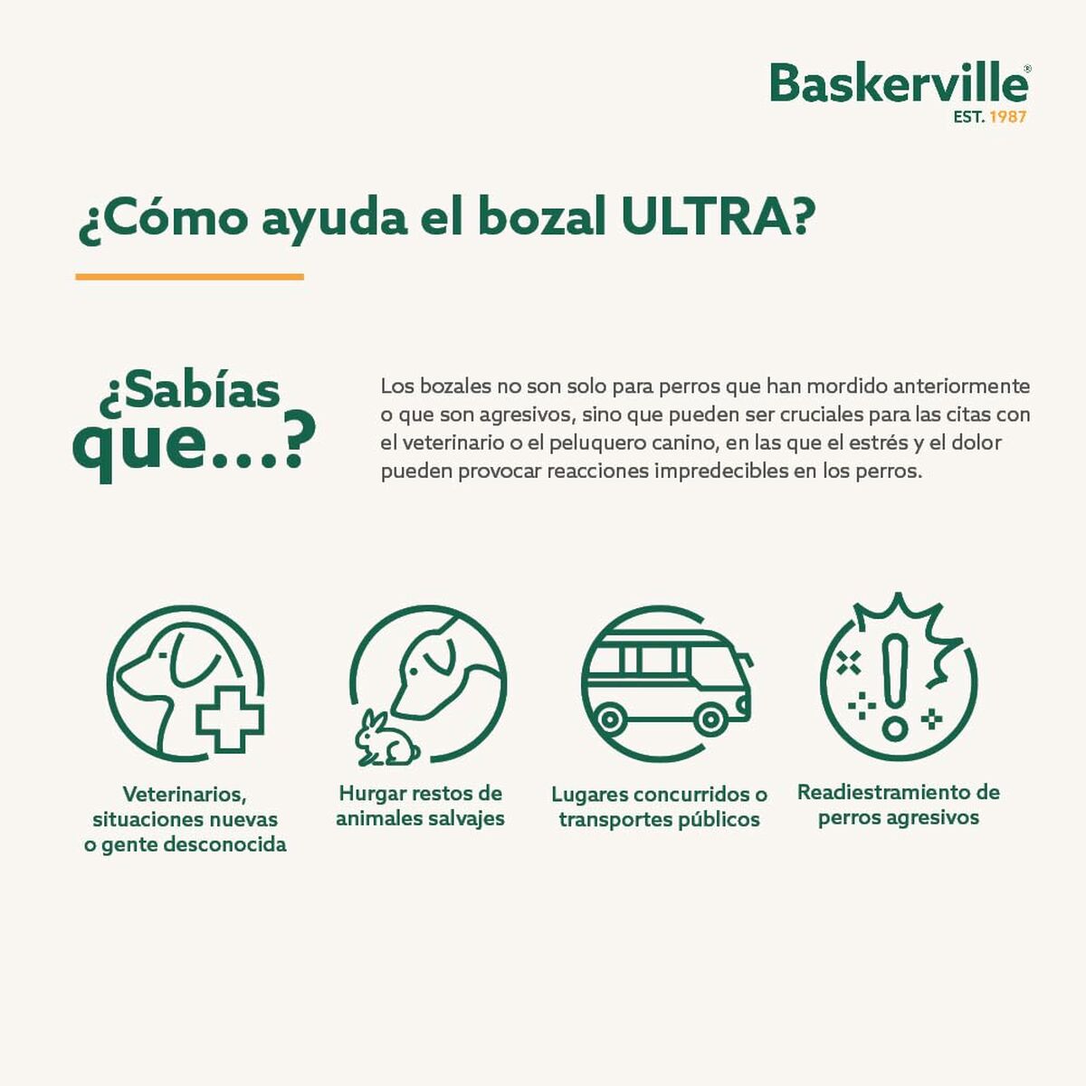 V4H084F78E3A4DA8F293929F8A70D443486R5327513P3