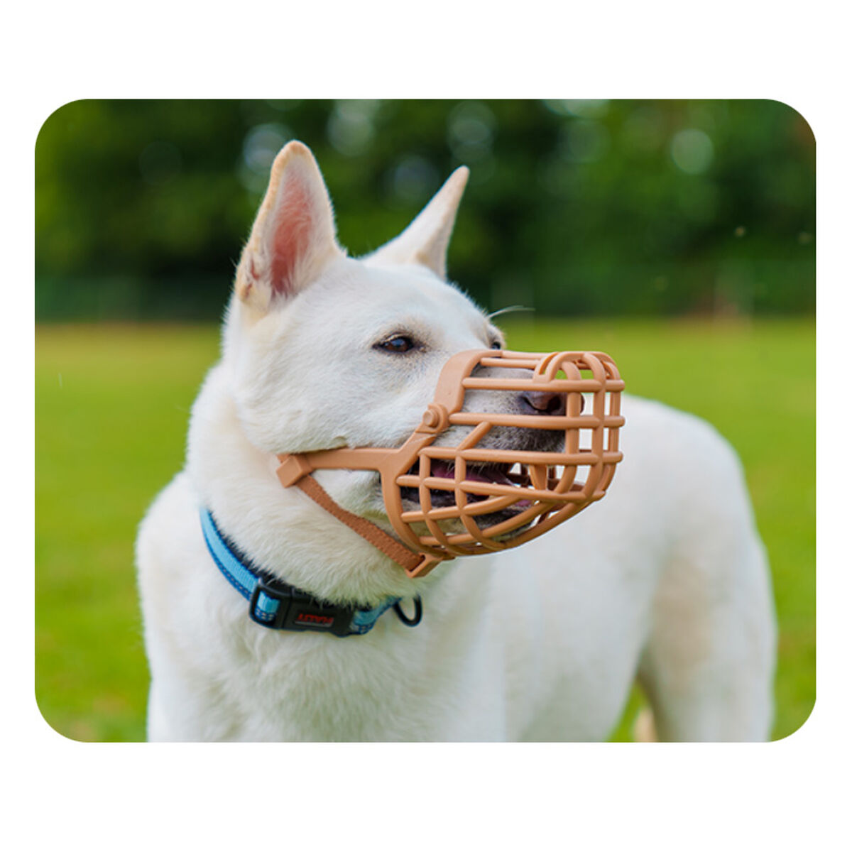 V4H5322E914104E65967131FFFF251D4662R5327530P3