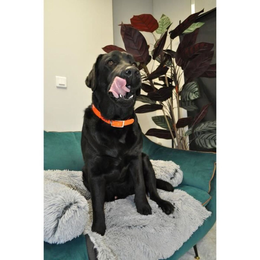 V2H9BA708F77A586F0064B67E779F295254R7437050P7