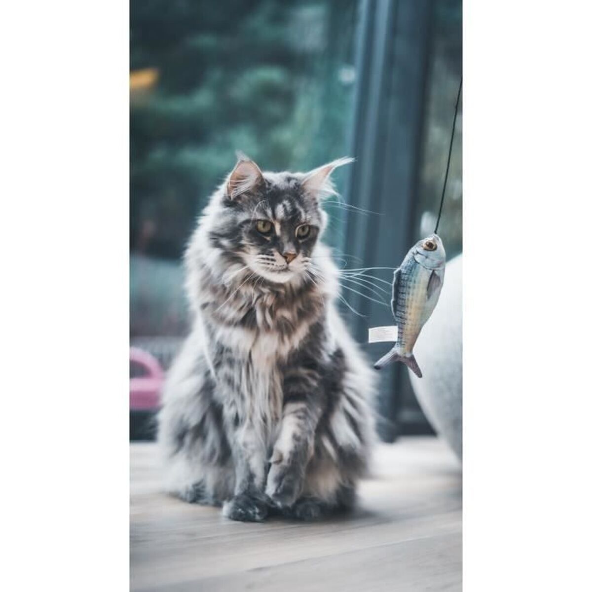 V2HB010CBA1A02F61A6347F3B5D8323C5CCR7436891P3