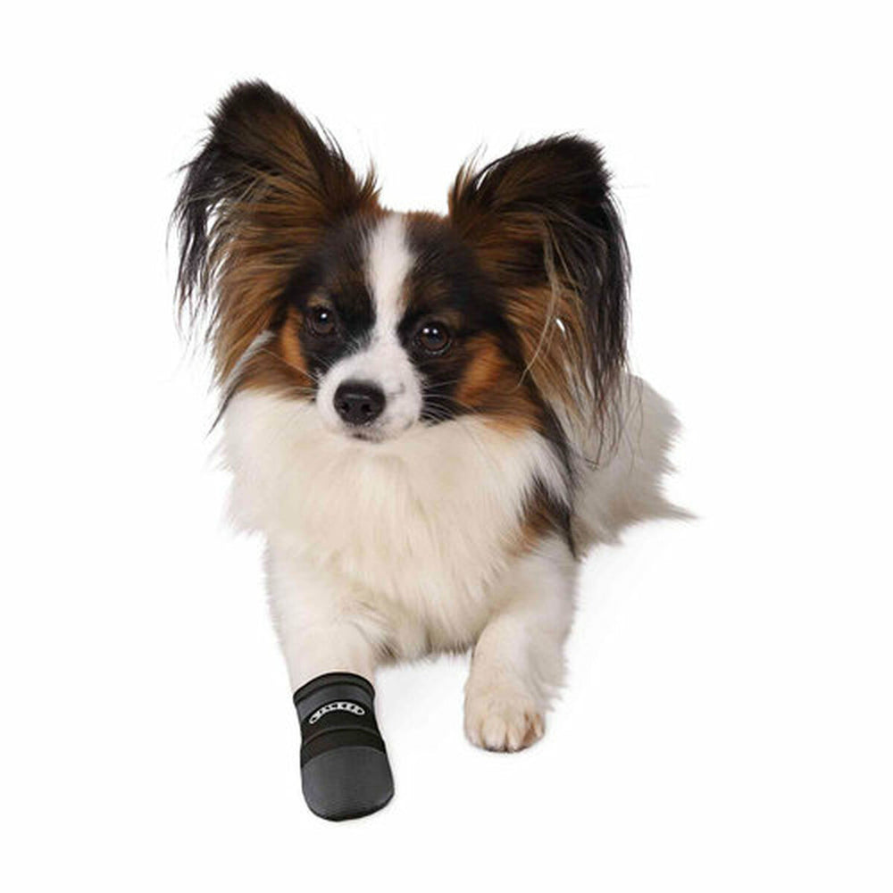 V3H0CB2E0B1947C1D04AA33BF78A0B105DCR7440610P4