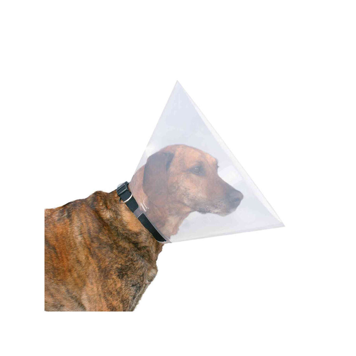 V5H991113B86E959B311C3203C4EED6D7DFR7440539P3