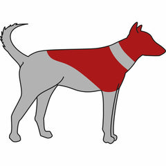 V5H5DAEAA3C1F4EDED42806BA8F983E0769R7440432P3