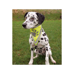 V4H94373F8041F15D9E067DB1074B2DBFB2R7439627P3