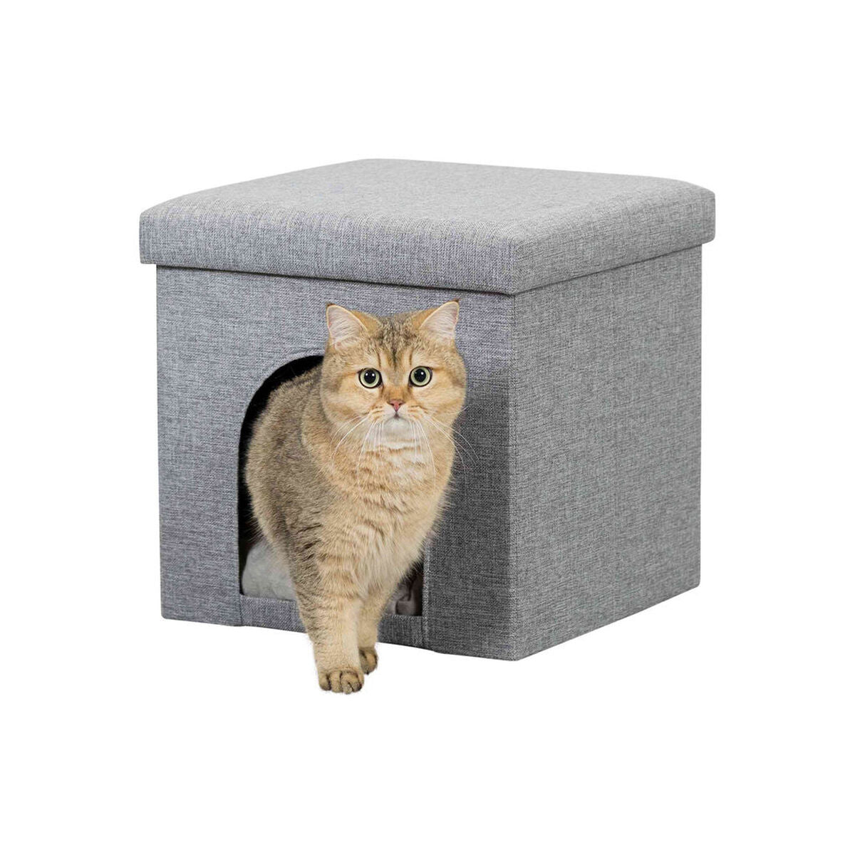 V8H05A66B21AC4CF36CF5BFC083C7A4F0A3R7440949P1