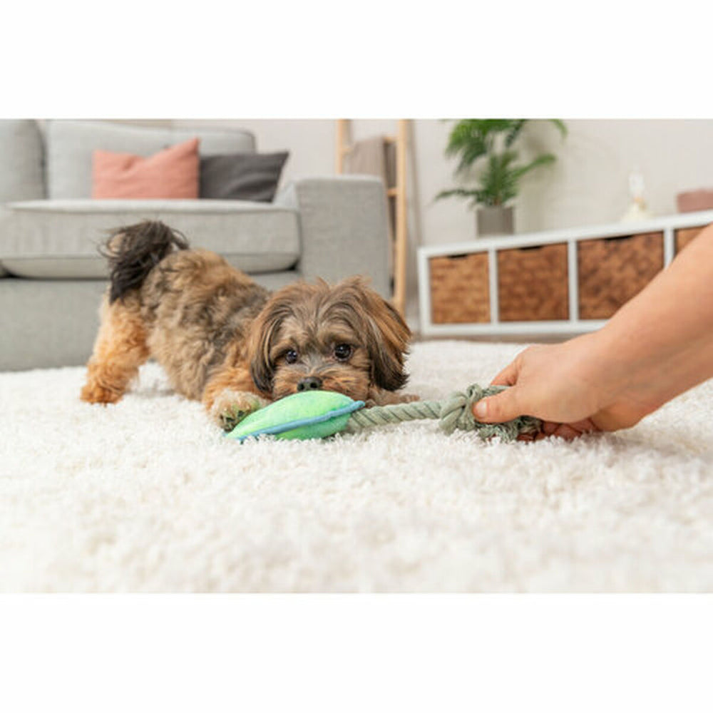 V3HFDCC0FE6EA8790430B5318DDB6F201C4R7462188P6