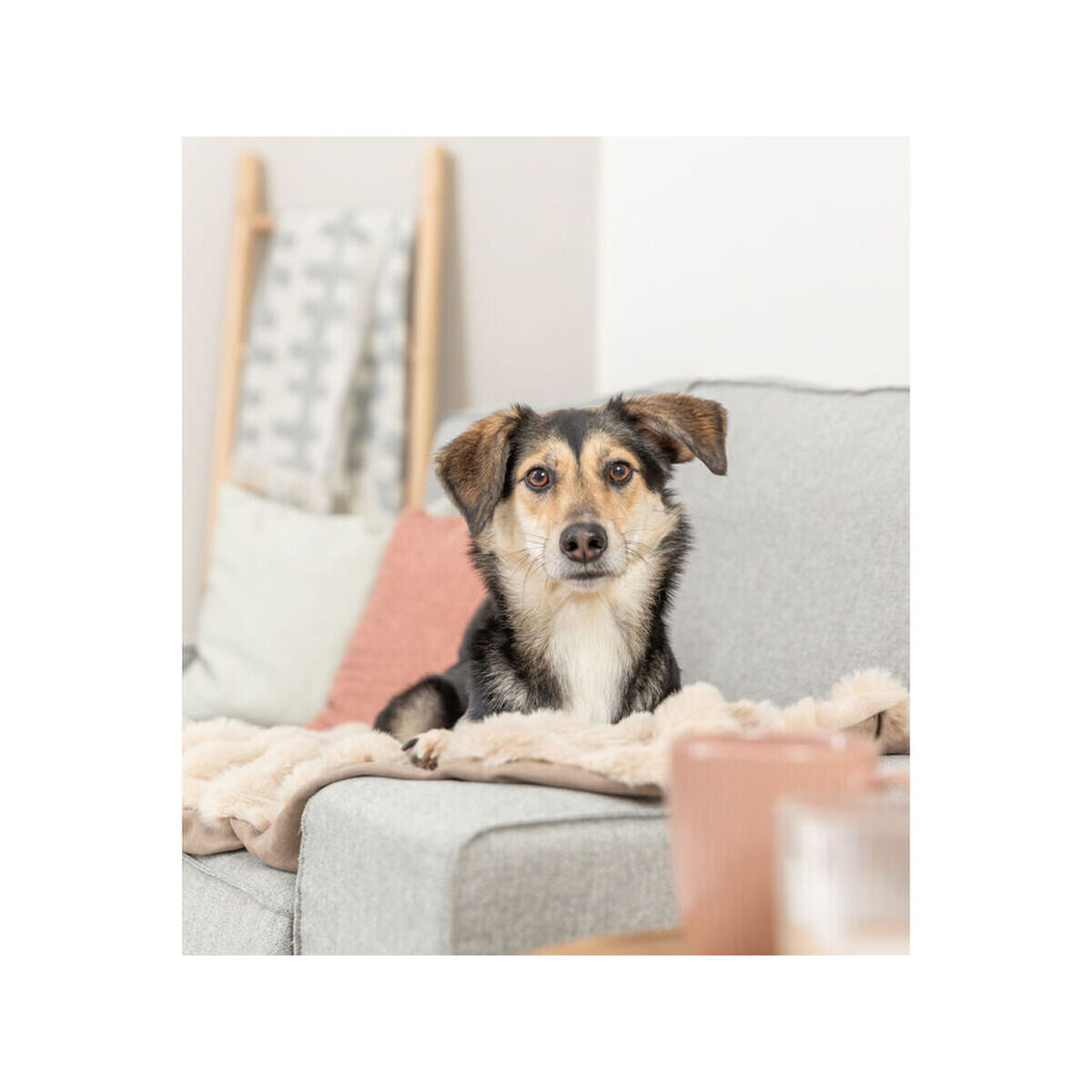 V3HEBBF6974E44047768BAEE0ED96CFBEECR7463009P3