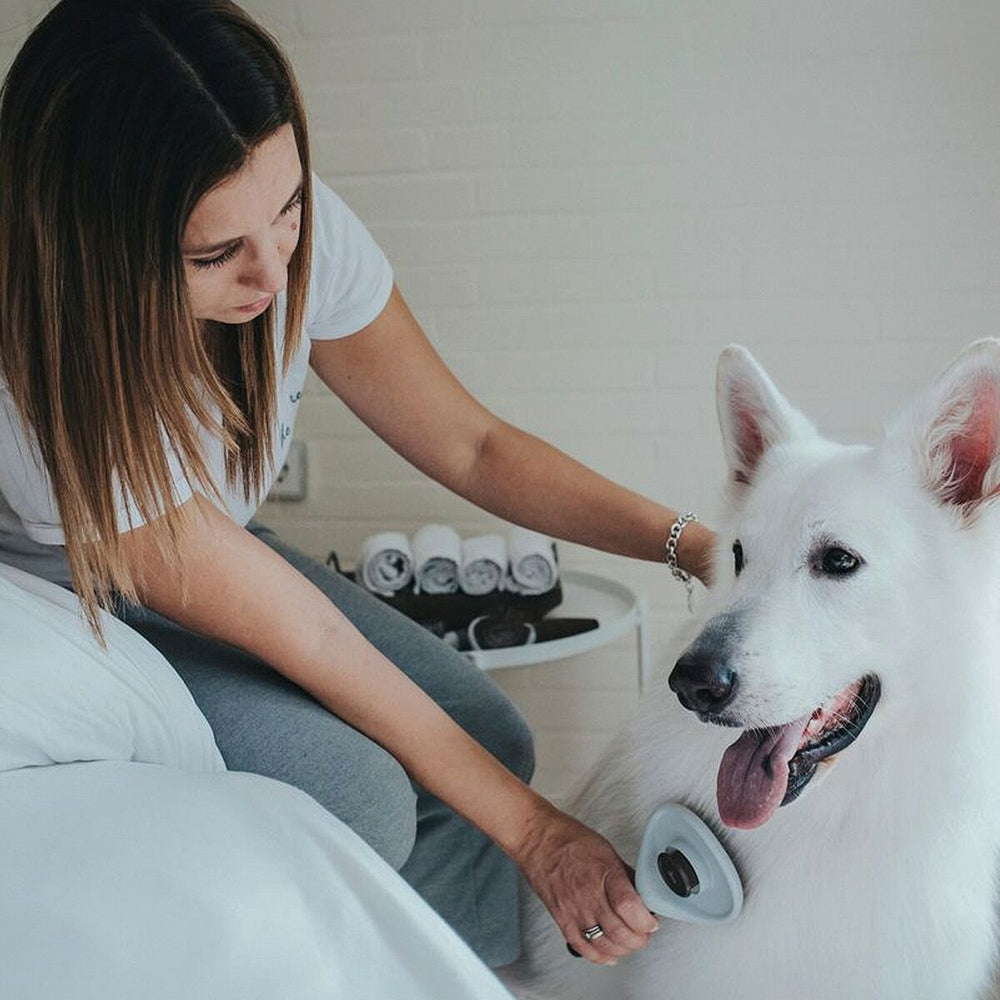 V8HB999B022ED9FAA808970463E0AA98B2DR3618719P6