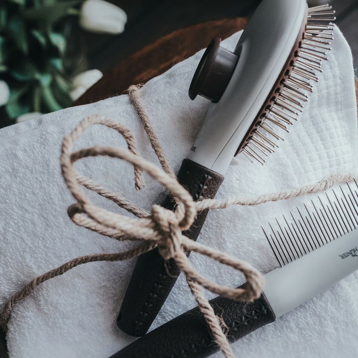 V9HB88C0B3ABBF9EE4C852E137702648200R7431109P3