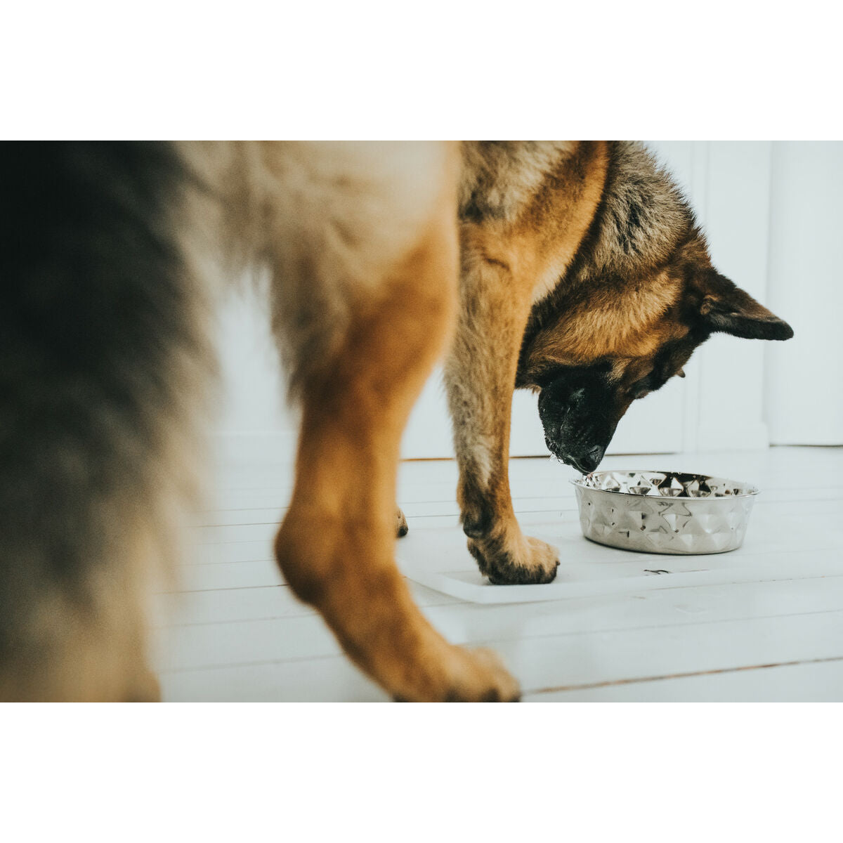 V5H56D6742BEE5E02847423AE18B4C9B827R4438110P4