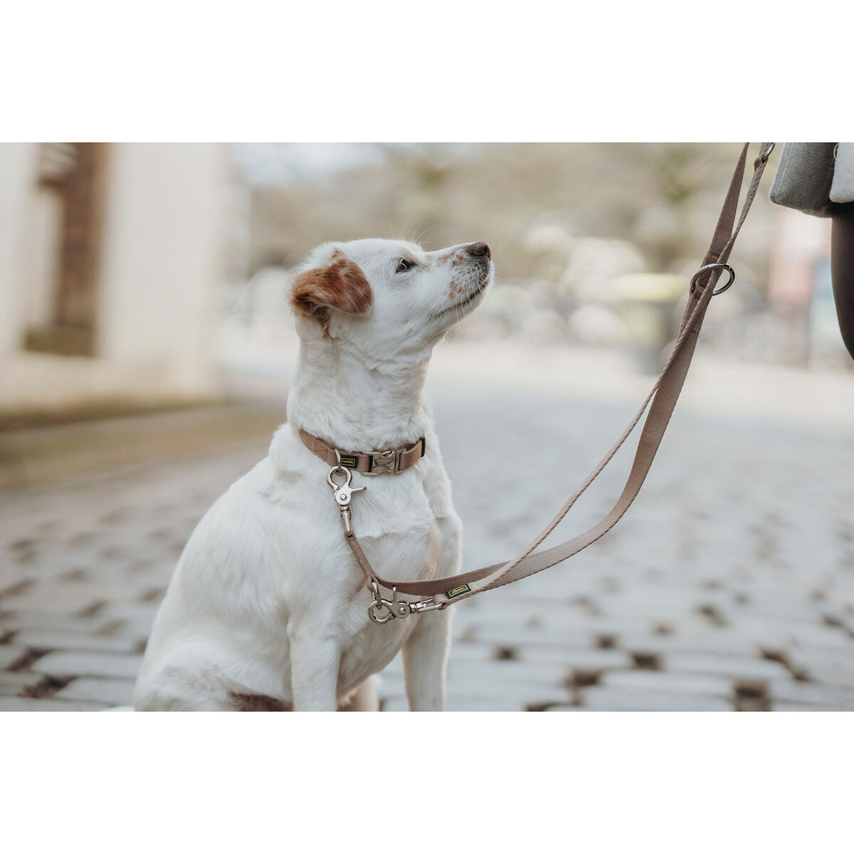 V3H082ACD1EDA7ADAC26BDA766CA51582BDR5582608P4