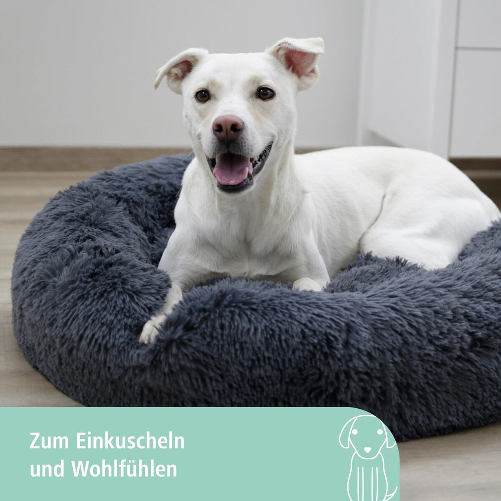 V2HB2D6989E5D65DC21B3BB2CD1A033CE09R7479821P3