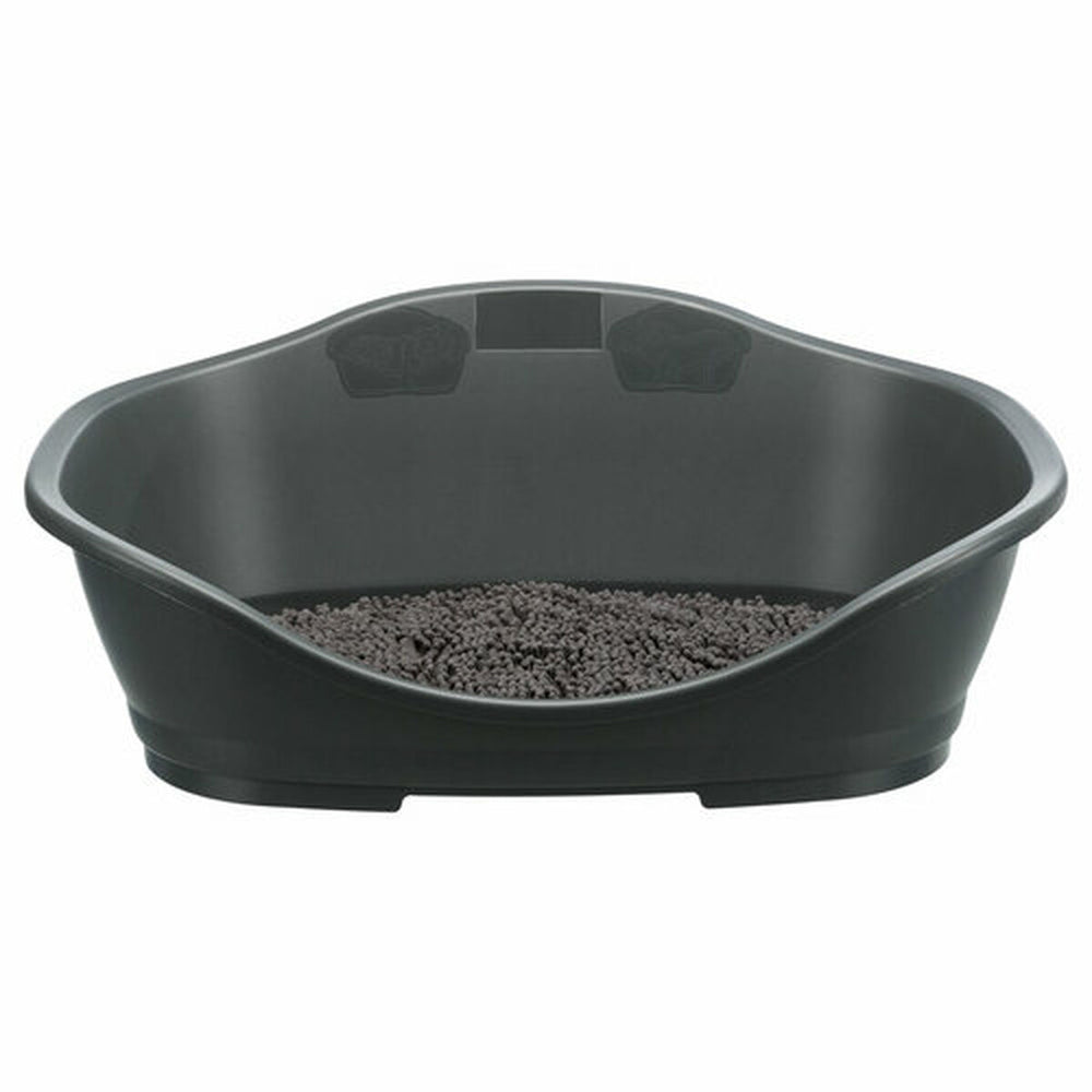 V5H1987276D4EC109D3D334BF95C8B30C5FR7451625P6