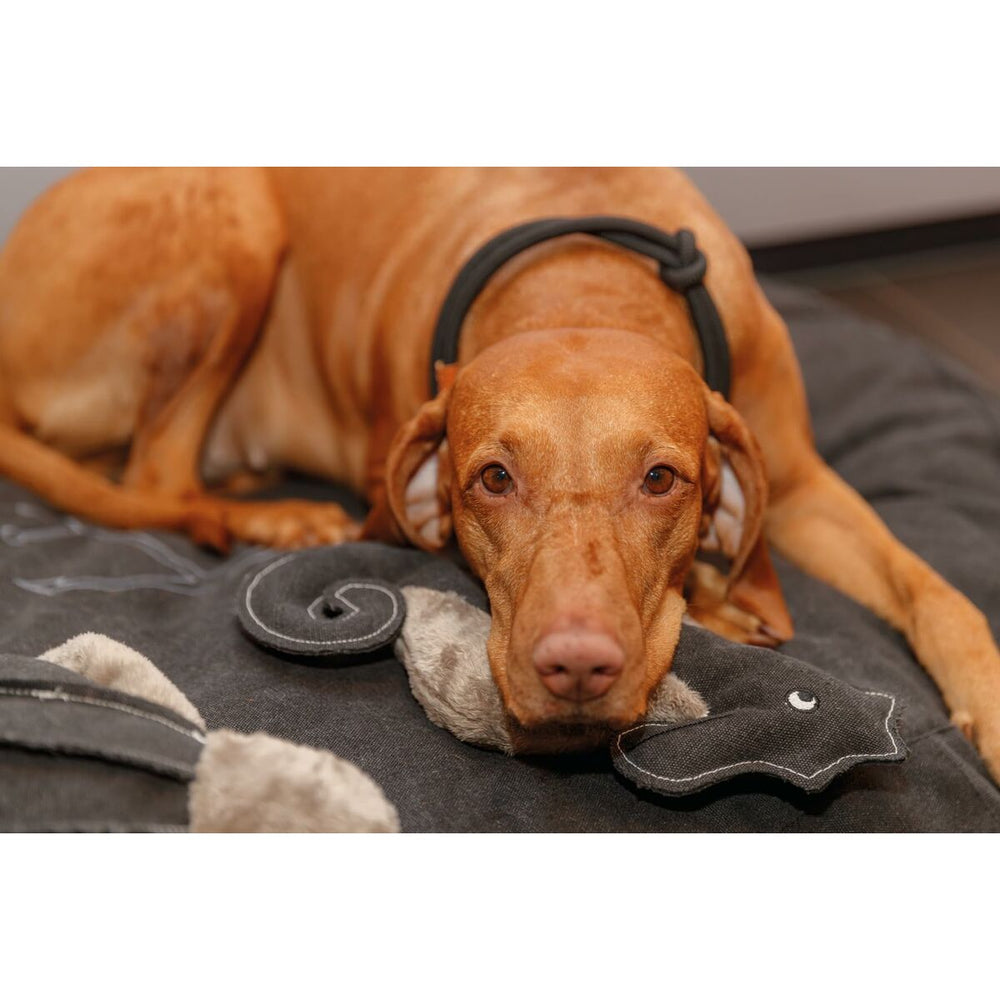 V5H8A57CE8BCF73DA3360E760312354F69AR5330730P4