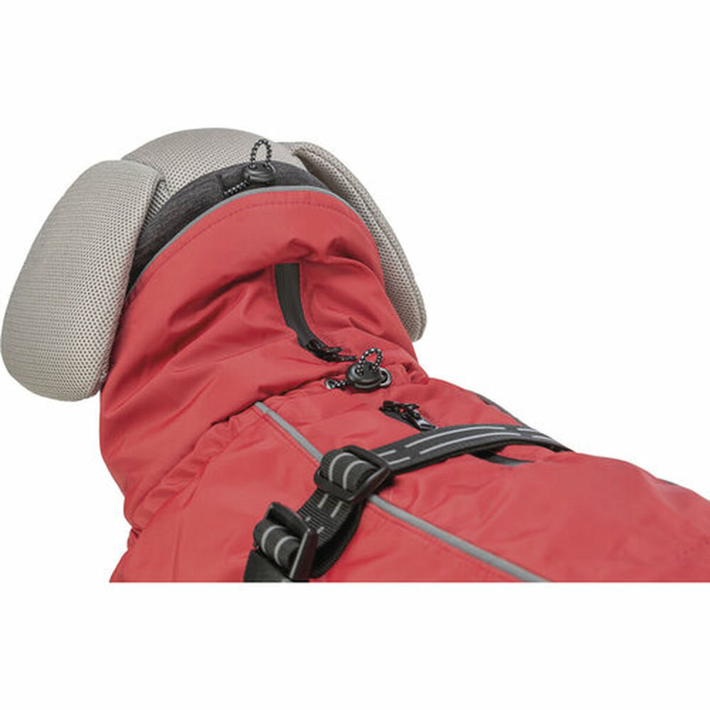 V5H786D6DCEA67695C64C865A906722F950R7449426P10