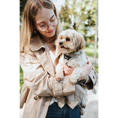 V3H35F27453992C6EA2D2C42F59BB4DCCF6R5575630P4