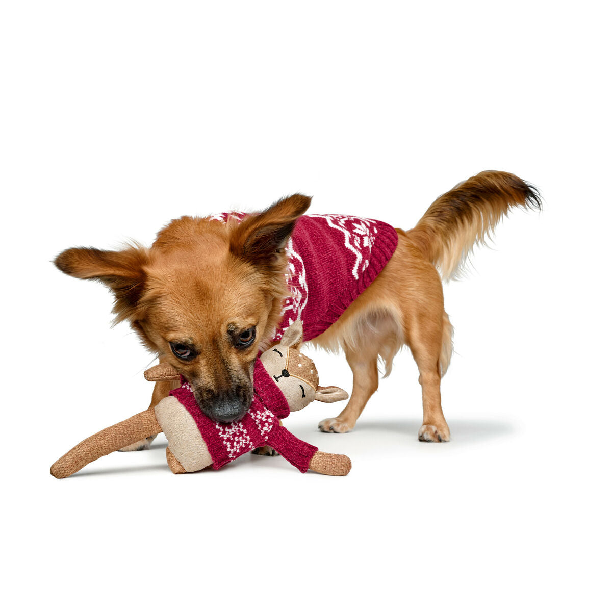 V3H9F4BFC82EF051DD0B29DFEC8EA0461E2R5574729P3