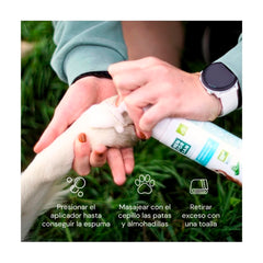 V3HD70C3A77B70635B7DF33A70F5E0AEA23R5717545P3