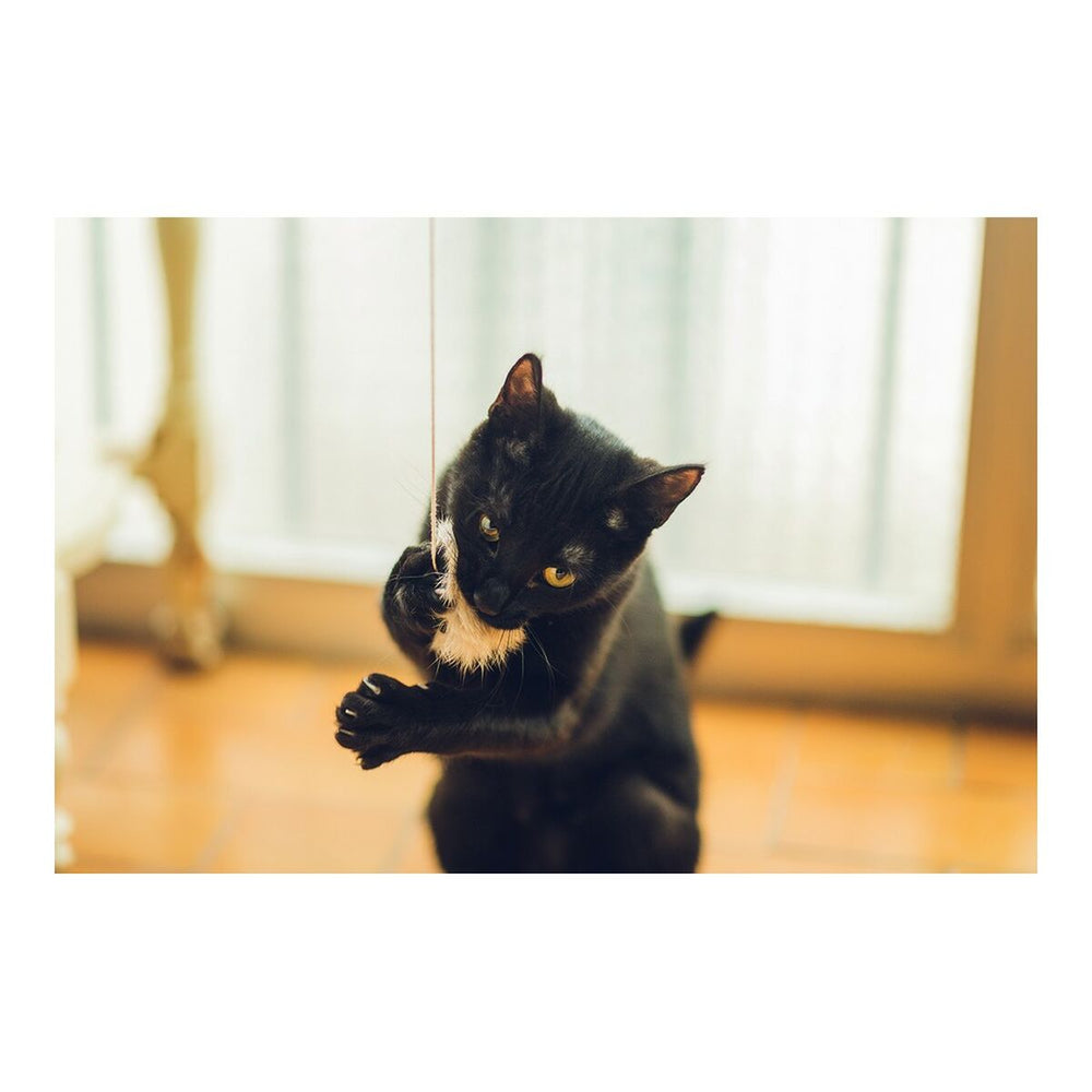 V10H850F2D8185D6DA8A04A450D6A11145A8R4263188P3