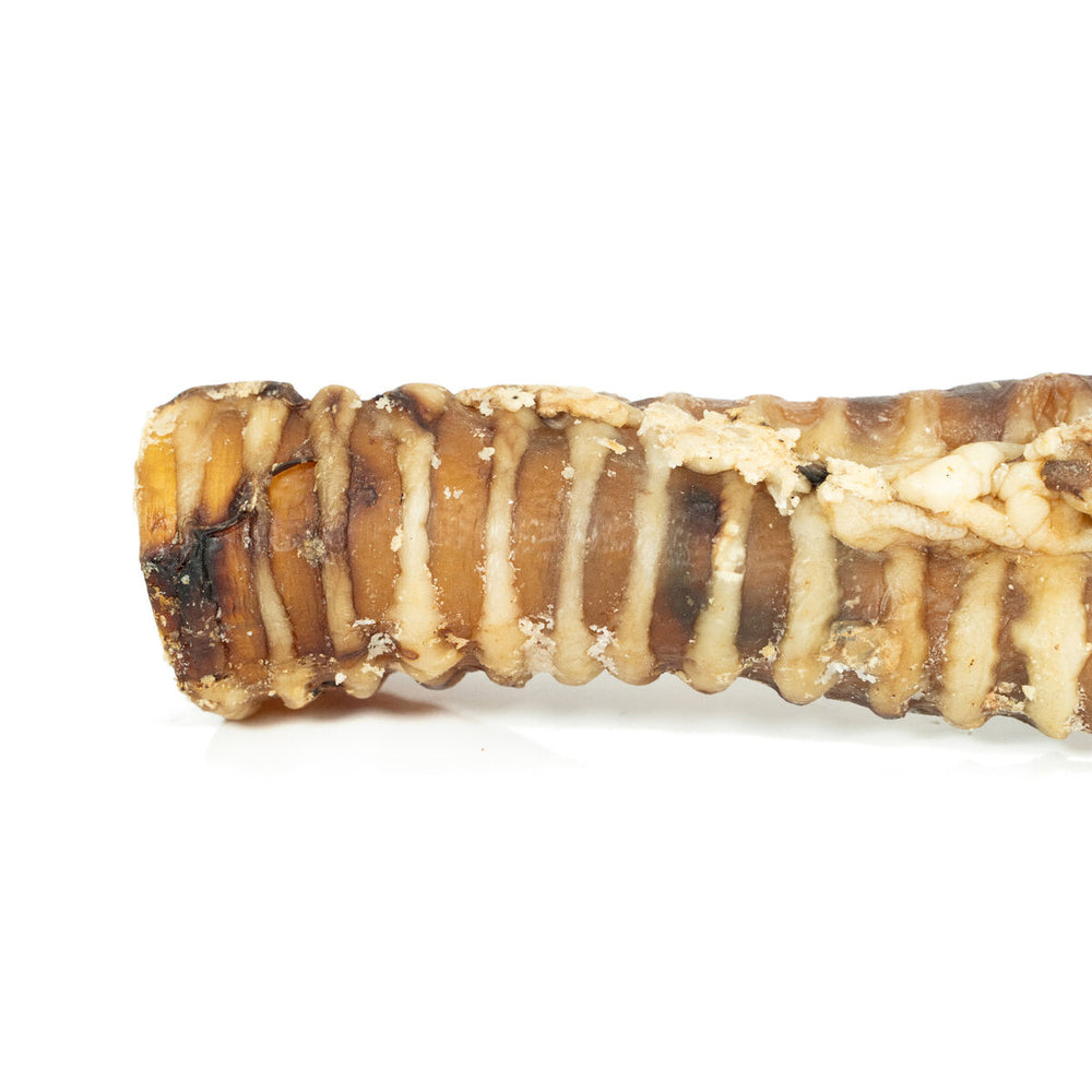 V4H02592850E06A51F94DBD730B7E4F9AE9R4975264P4