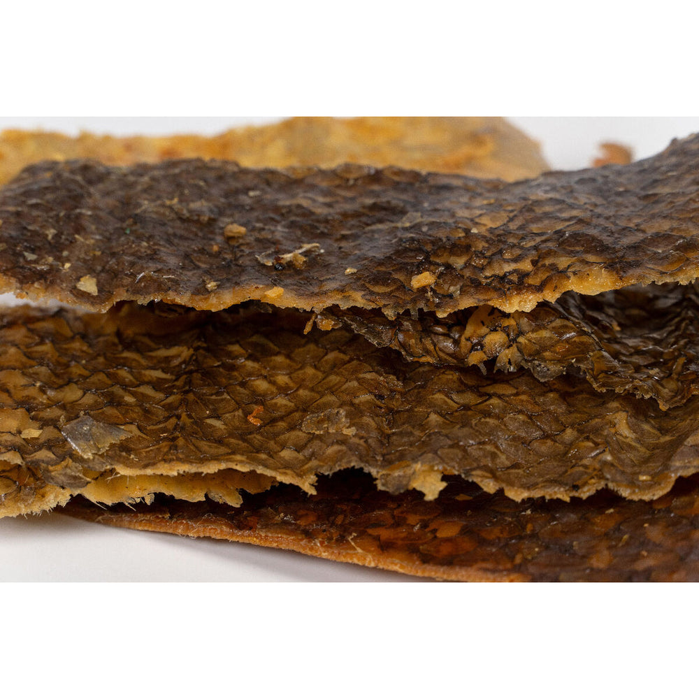 V3H0A963D43AB27DEF28491E41C1CB592C9R5292975P5