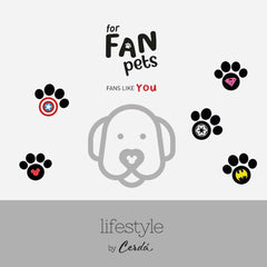 V4H9525A92B696401E06C126779584D4417R6606611P4