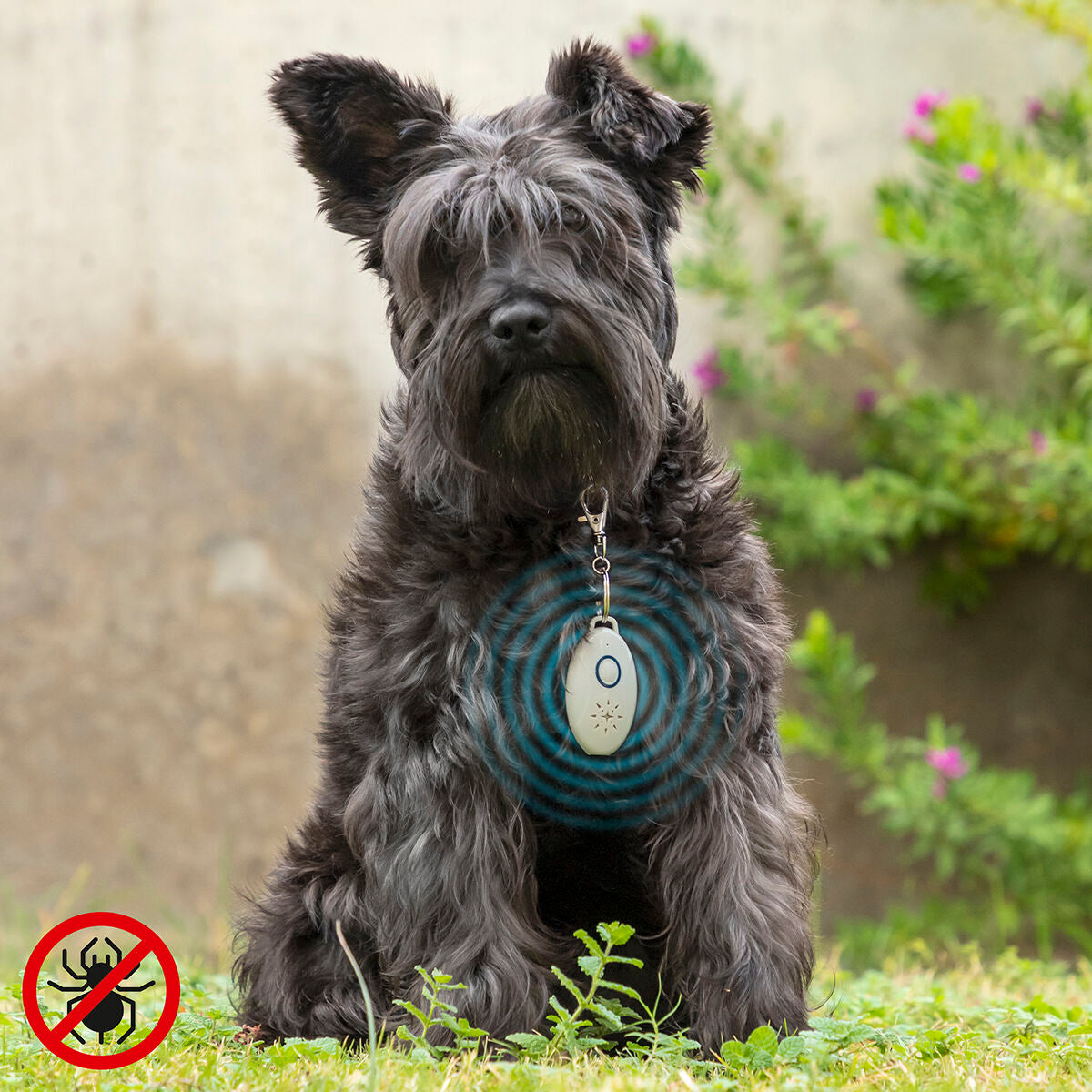 V13H2A9F32BA91D26E59C2A199C6FD9E8B13R5434219P1